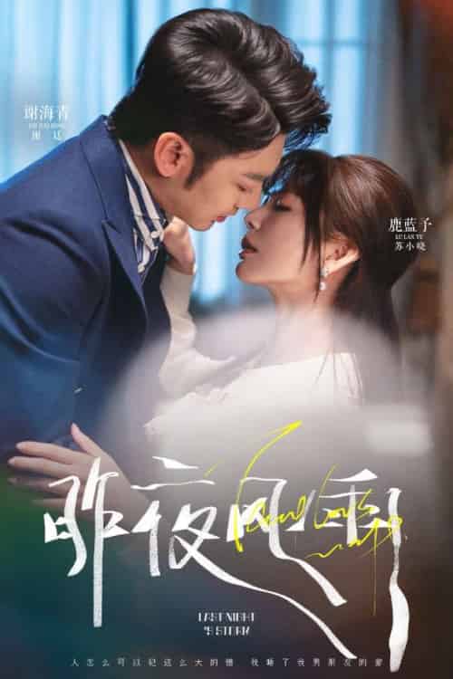 昨夜风雨（63集）谢海青＆鹿蓝予-搜外项目网