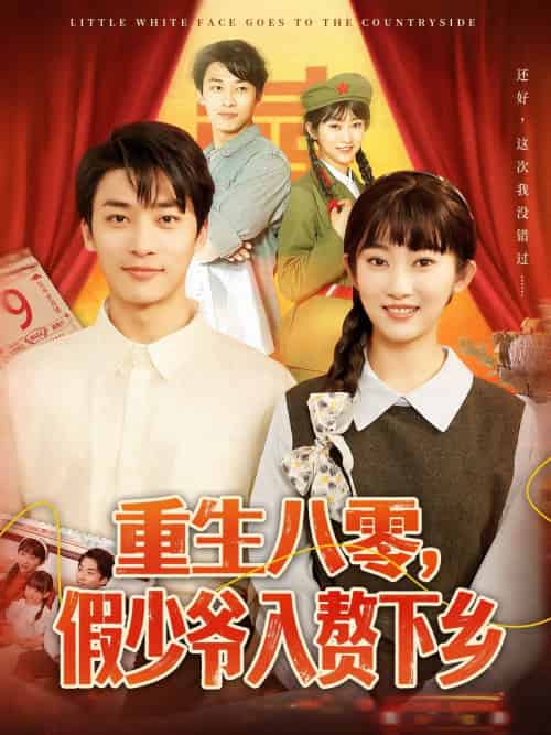 重生八零,假少爷入赘下乡(72集)王泊渊&崔馨心-搜外项目网