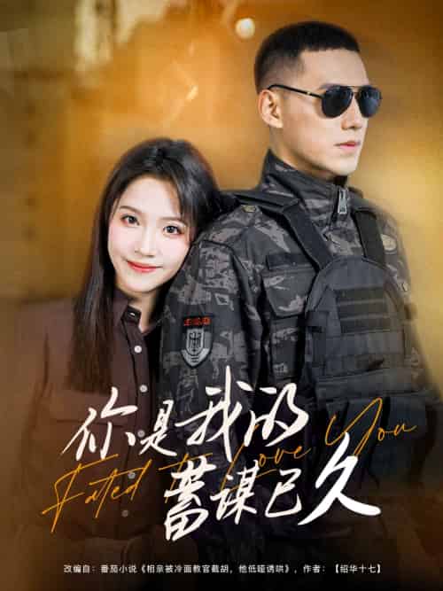 你是我的蓄谋已久(83集)馨方&王慧龙-搜外项目网