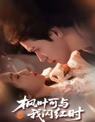 枫叶可与我闪红时（54集全）胡金池＆史珂瑀-搜外项目网