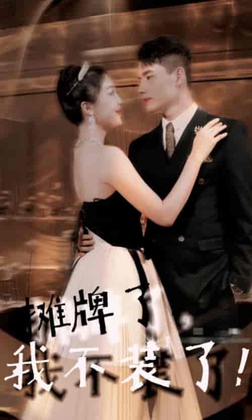摊牌了，我不装了（98集）吴美丽-搜外项目网