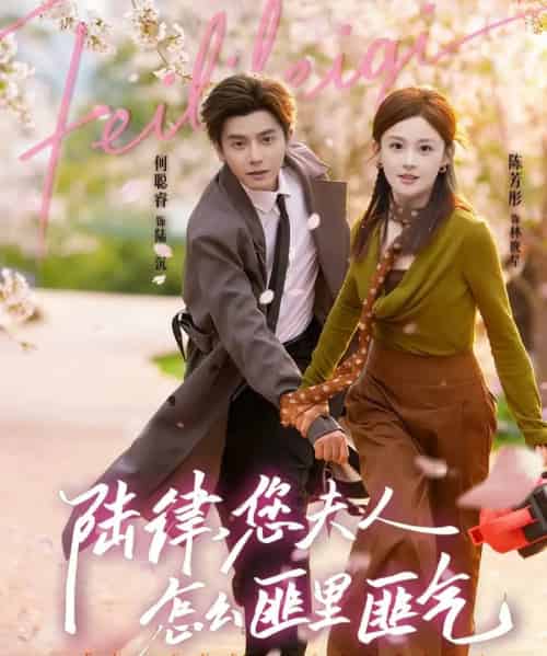 陆律，您夫人怎么匪里匪气（60集全）何聪容＆陈芳彤-搜外项目网