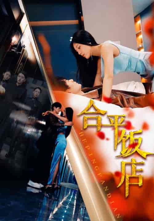 合平饭店（100集）薛子祺-搜外项目网