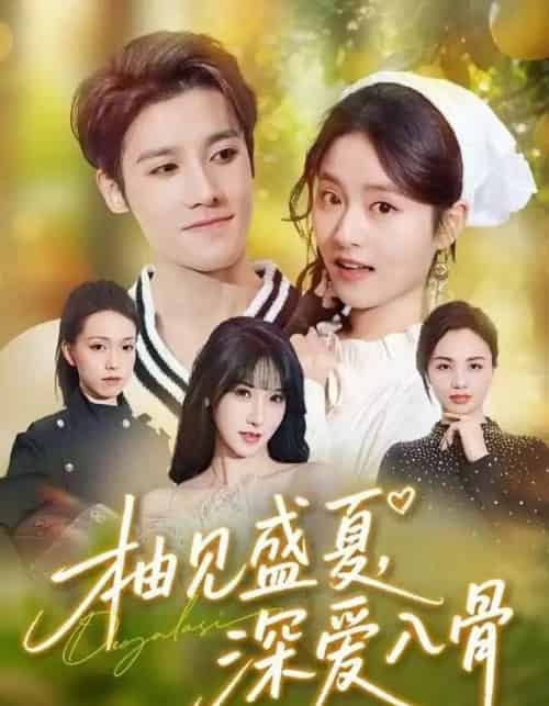 柚见盛夏，深爱入骨（65集全）左馨＆沈帆-搜外项目网