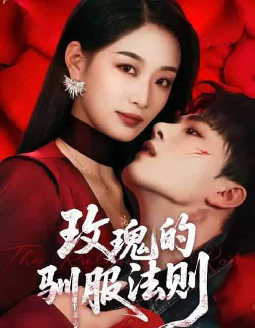 玫瑰的驯服法则（65集全）韩佳卉＆郑铂瀚-搜外项目网