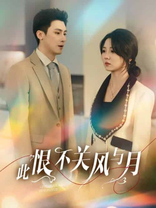 此恨不关风与月（45集）岑明＆李海蒂-搜外项目网