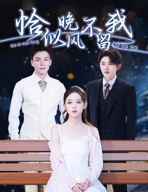 恰似晚风不留我＆弃他如风（51集）黄帅帅＆唐敬-搜外项目网