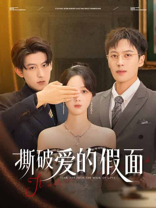 撕破爱的假面(50集)陈青青&朱旌豪-搜外项目网