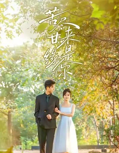 苦尽甘来缘是你（45集全）刘晓宇＆杜昱泽-搜外项目网