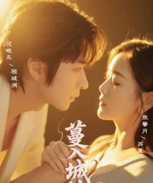 蔓入城池（58集）范晓东＆张馨月-搜外项目网