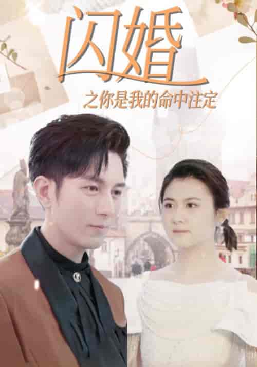 《闪婚之你是我的命中注定》全集剧情介绍 - 搜外短剧