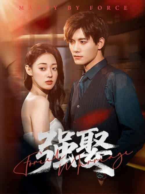 强娶(80集全)郑文岩&汤震-搜外项目网