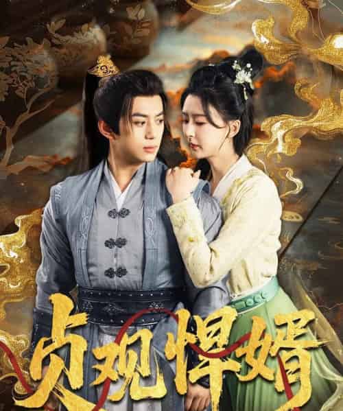 贞观悍婿（74集）杨帆-搜外项目网