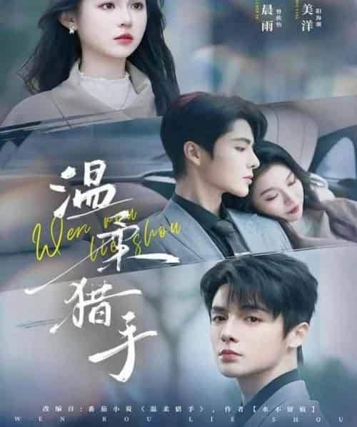 温柔猎手(77集全)郑晨雨&段美洋-搜外项目网