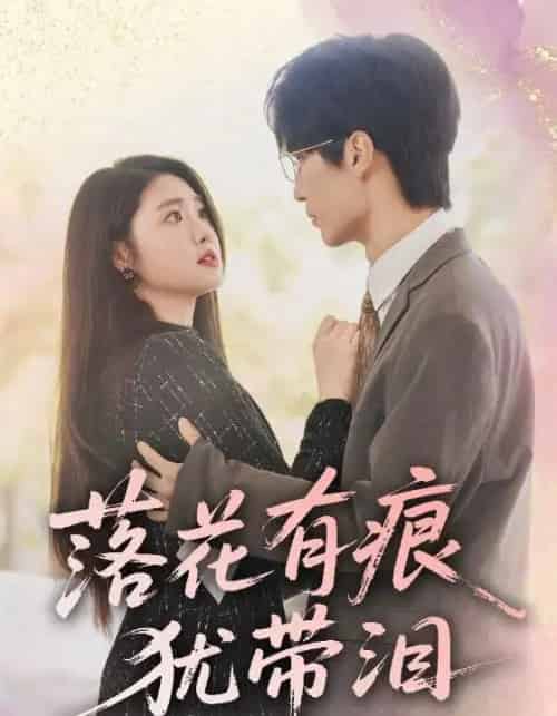 落花有痕犹带泪（55集）赵宏伟＆张幸运-搜外项目网