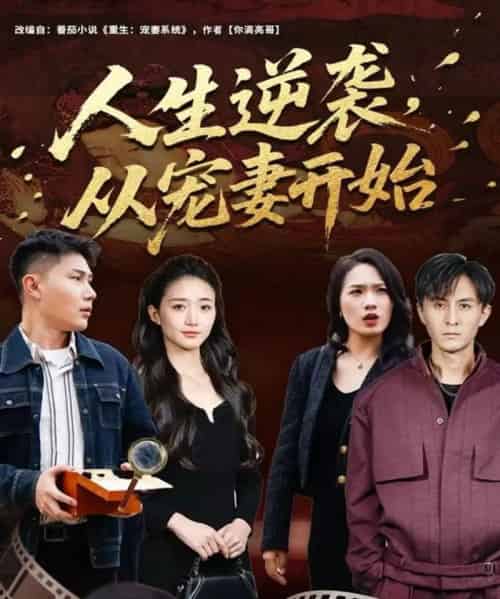 人生逆袭,从宠妻开始(80集全)张钧凯&董秋怡-搜外项目网