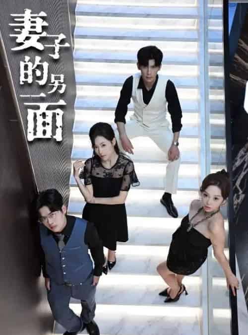 妻子的另一面（62集）周恬羽-搜外项目网