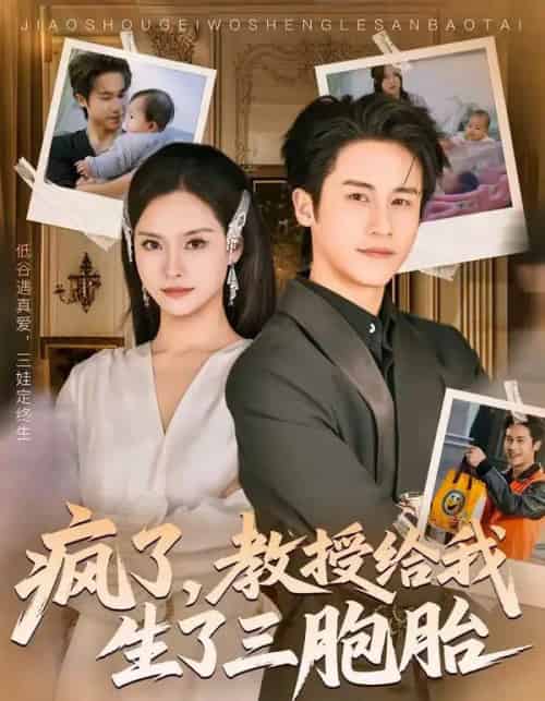 疯了,教授给我生了三胞胎(79集全)孙航&李苗苗-搜外项目网