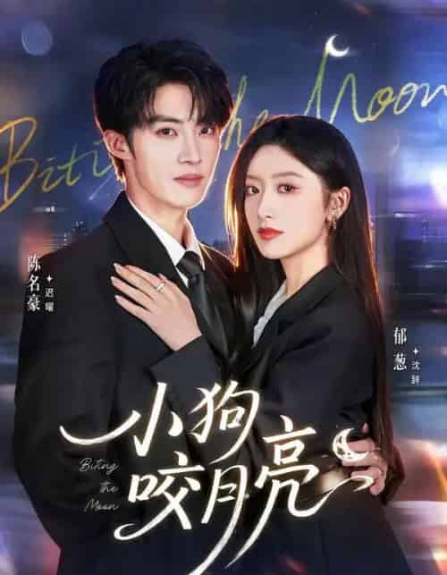 小狗咬月亮（66集全）陈名豪＆郁葱-搜外项目网