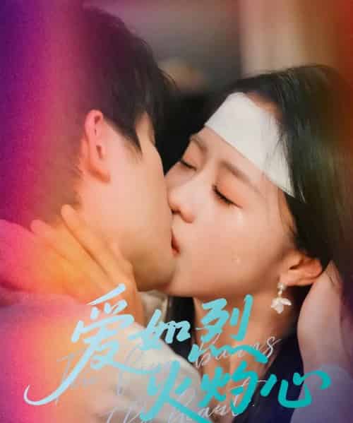 爱如烈火灼心(64集)焦睿&陈云汐-搜外项目网