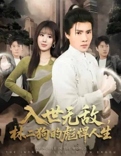 入世无敌，林二狗的彪悍人生（70集全）黄佳俊＆朱梦怡-搜外项目网