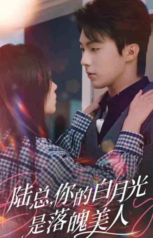 陆总你的白月光是落魄美人（39集全）刘兰博＆田苗苗-搜外项目网