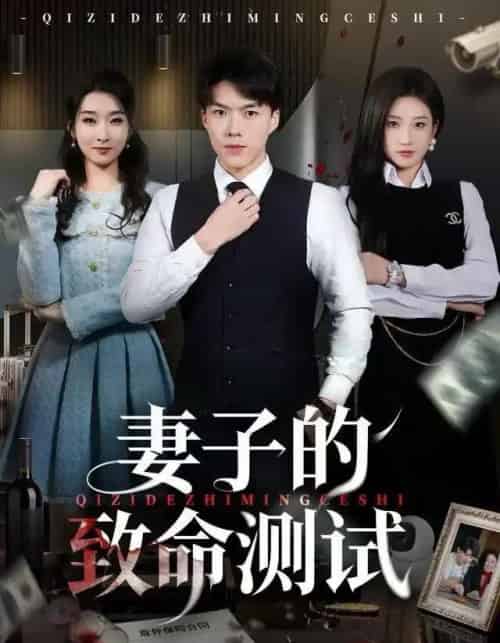 妻子的致命测试（60集全）林元元＆白龙-搜外项目网
