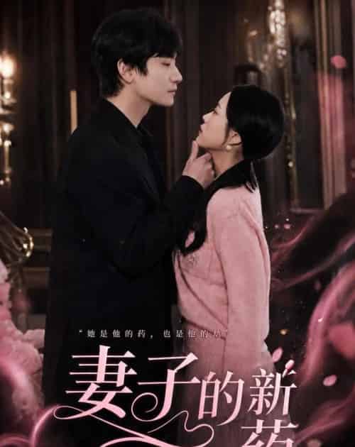 妻子的新药（60集全）杨芷煊＆俞秉辰-搜外项目网
