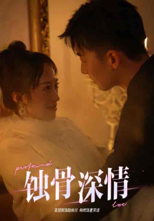 蚀骨深情（54集全）-搜外项目网