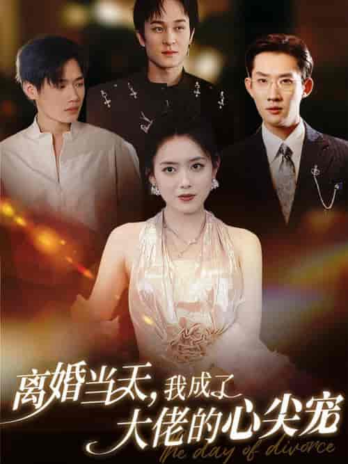 离婚当天我成了大佬的心尖宠（60集全）韩一思＆彭娜莎-搜外项目网
