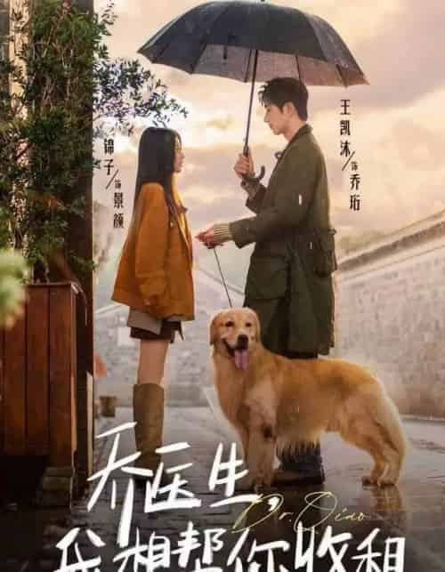 乔医生,我想帮你收租(81集全)王凯沐&锦子-搜外项目网