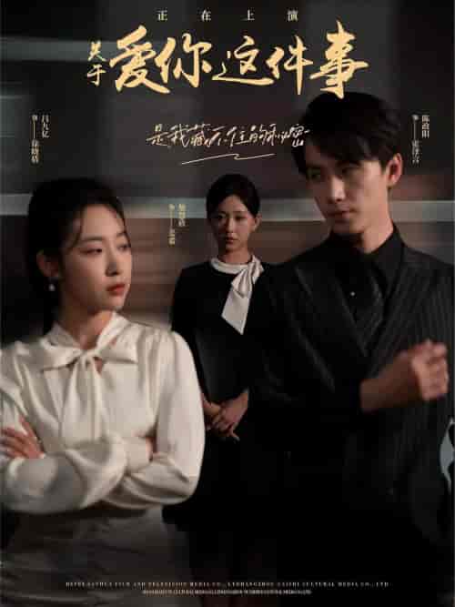 关于爱你这件事（83集）柴慧欣-搜外项目网