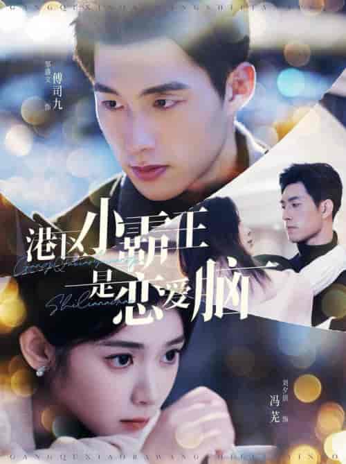 港区小霸王是恋爱脑（95集全）刘夕语-搜外项目网