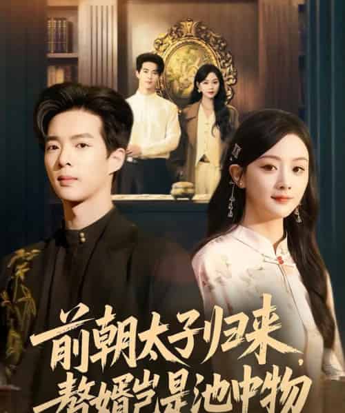 前朝太子归来，赘婿岂是池中物（80集全）员烽豪＆李秀-搜外项目网