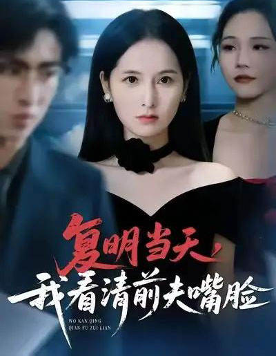 复明当天，我看清前夫嘴脸（50集全）曹梓玲＆赵赫为＆方敏安-搜外项目网