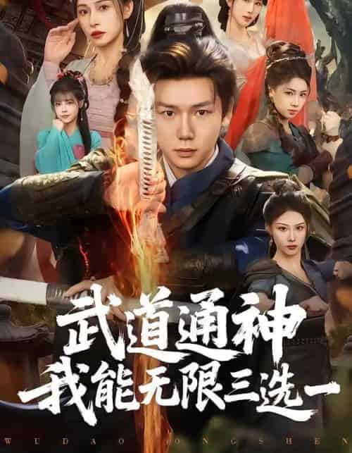 武道通神我能无限三选一（80集全）许少卿＆李曾-搜外项目网