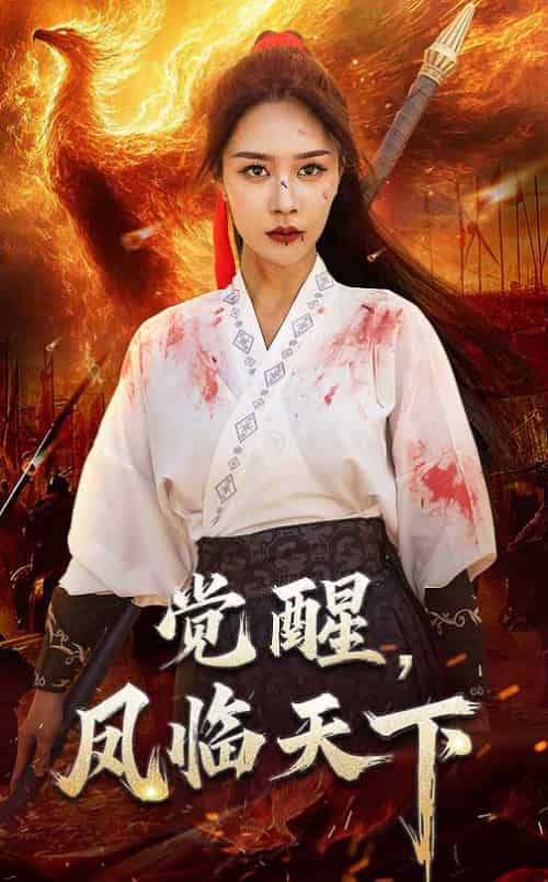 觉醒凤临天下（76集全）马千欢＆钟莹铃-搜外项目网