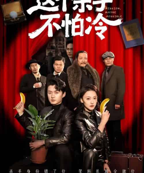 这个杀手不怕冷(6集全)珑一&宋伊菲-搜外项目网