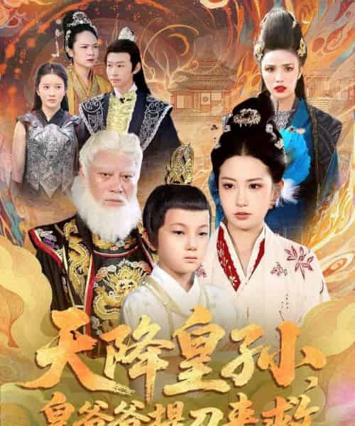 天降皇孙,皇爷爷提刀来救(90集全)梅瑞滢&李仲桓-搜外项目网