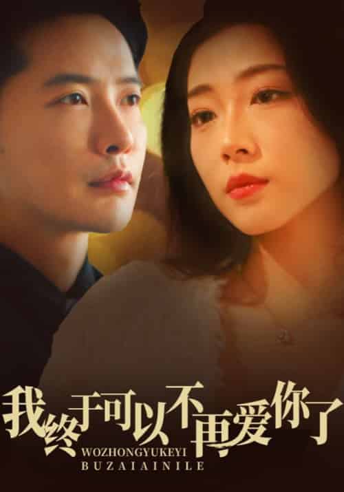 我终于可以不再爱你（60集全）齐惠昭-搜外项目网