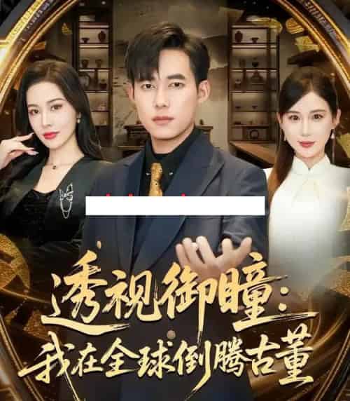 透视御瞳：我在全球倒腾古董（80集全）王大钱＆张子唯-搜外项目网