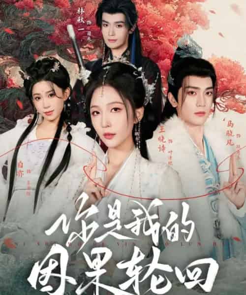 你是我的因果轮回(100集全)王晓诗&马晓凡-搜外项目网