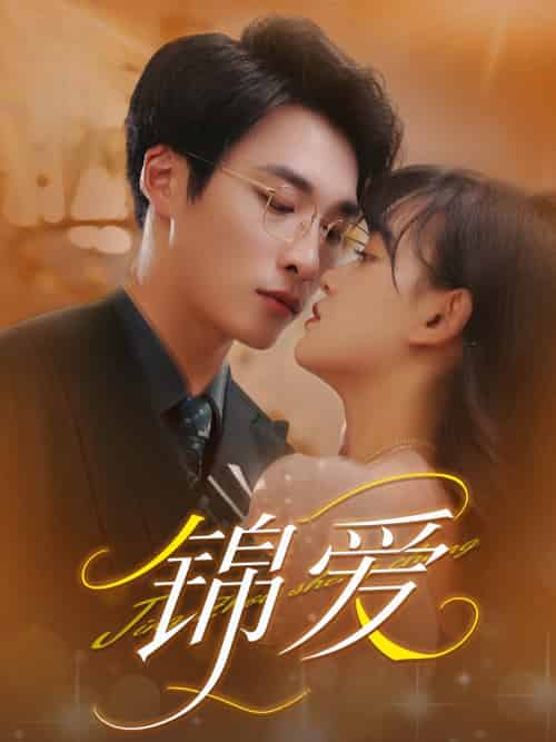 锦爱(100集)赵财子&王泊渊-搜外项目网