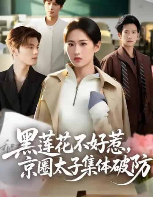 黑莲花不好惹,京圈太子集体破防(53集全)申晴&彭瑞风-搜外项目网