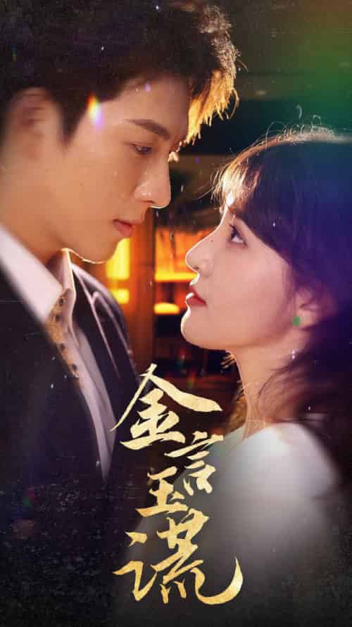 金言玉谎（56集全）李兼任＆喻嘉琳＆蹇代莉-搜外项目网