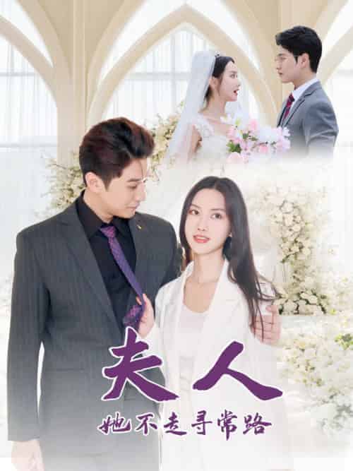 夫人她不走寻常路（40集全）刘家呈＆张珊珊-搜外项目网