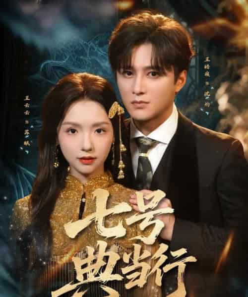 七号典当行（80集全）王皓祯＆王云云-搜外项目网