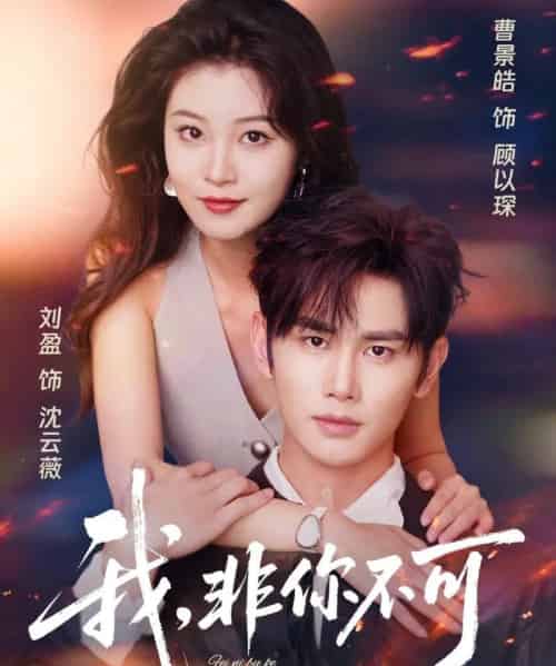 我非你不可(81集)曹景皓&刘盈-搜外项目网