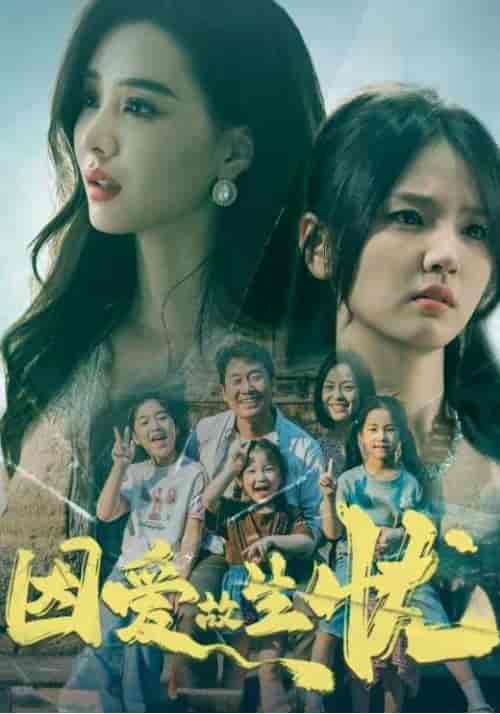 因爱故生忧（100集全）姜涛＆姜雪-搜外项目网