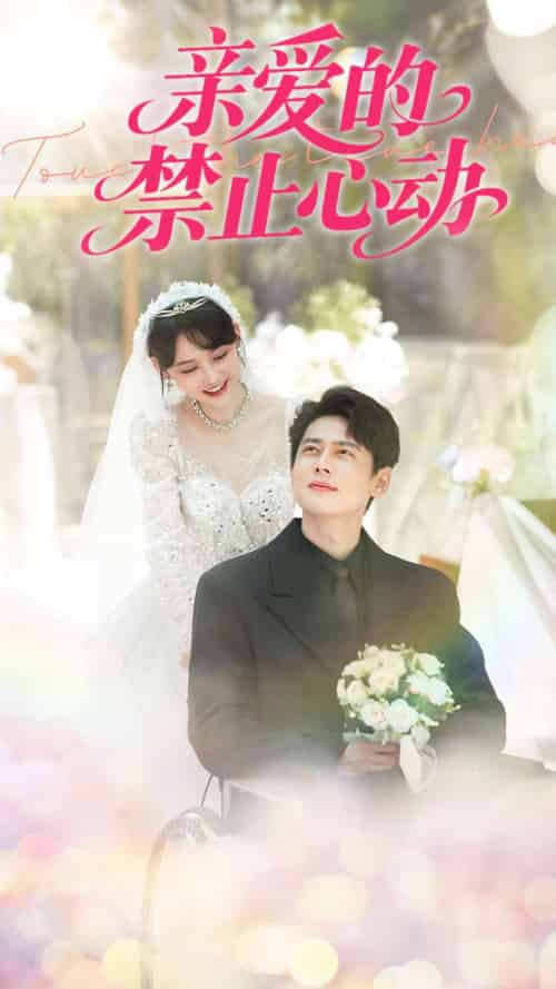 亲爱的禁止心动（96集）尹一博＆龚芳妮＆陶思沂-搜外项目网